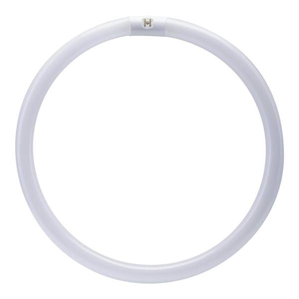 15.9 In. - 40 watt - T10 - 4-Pin Base - 4,100K - Cool White - Circular - Non-Dimmable | Feit Electric Light Bulb (Feit Electric FC16T10/CW 00773)