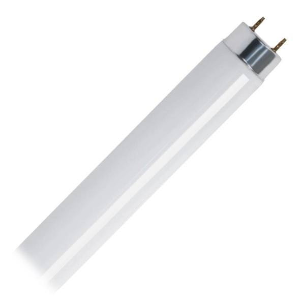 36 In. - 30 watt - T8 - Medium Bi-Pin (G13) Base - 4,100K - Cool White - Non-Dimmable | Feit Electric Light Bulb (Feit Electric F30T8/CW 90470)