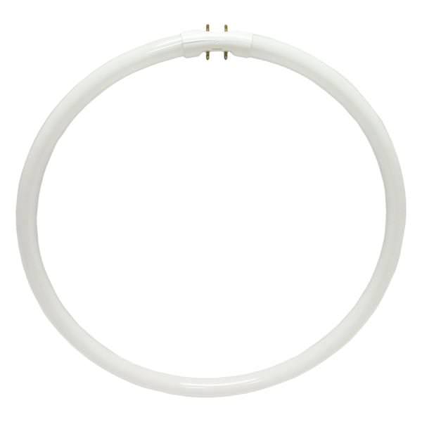 40 watt - 12 In. - T5 - 4-Pin (2GX13) Base - 3,000K - Natural White - 800 Series - Pentron - Circline | Sylvania Fluorescent Light Bulb (Sylvania FPC40/830 20731)